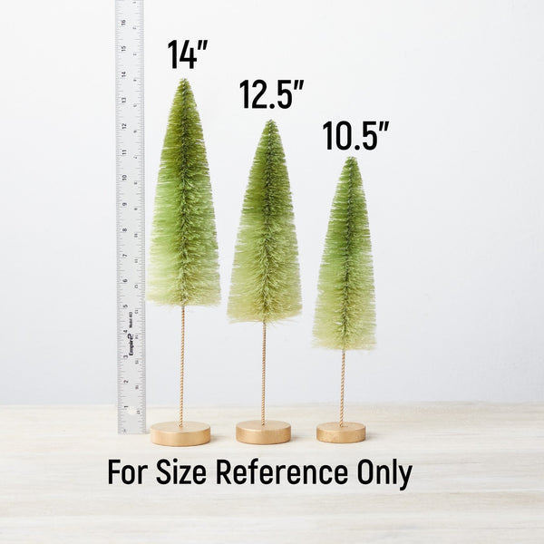Sisal Trees