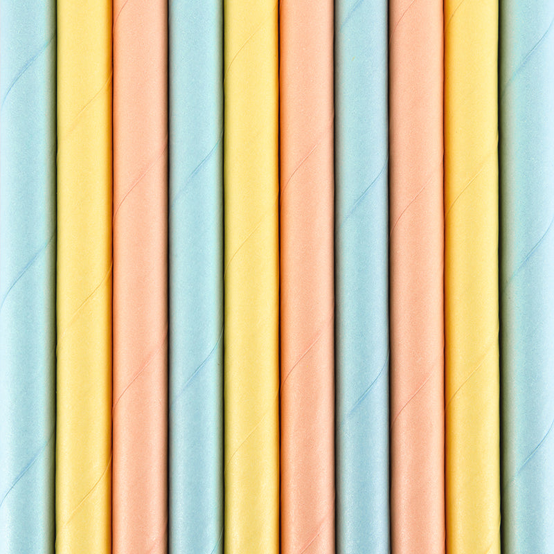 Mix of colours Summer Time Paper Straws available at A Little Confetti