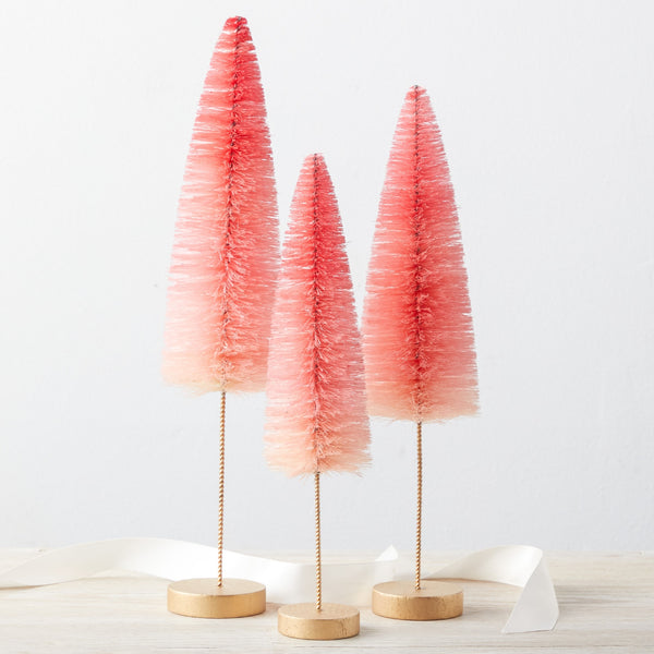 Sisal Trees