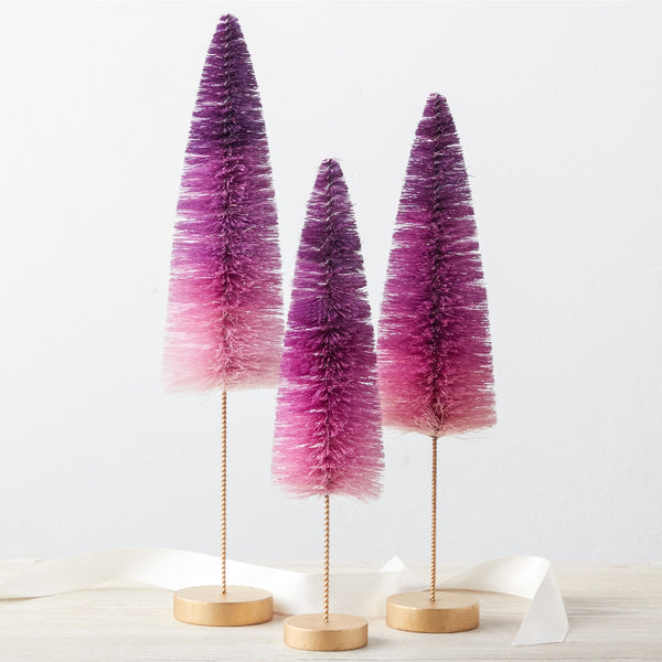 Sisal Trees