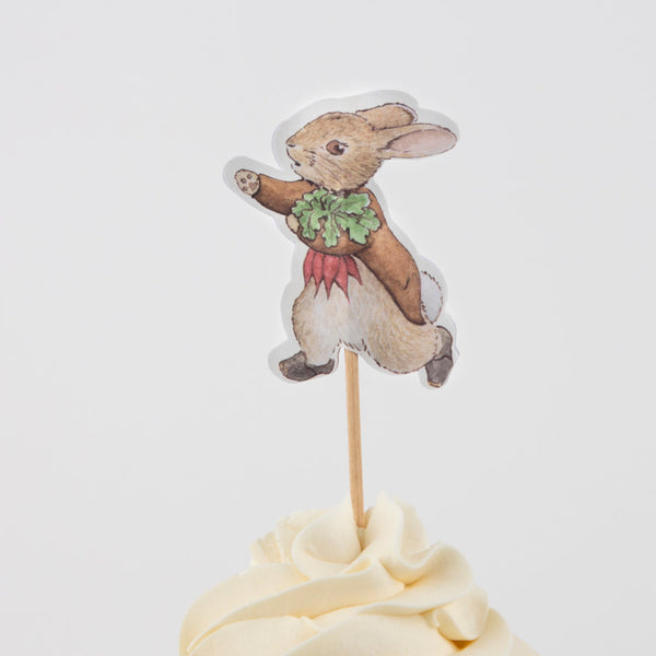 Peter Rabbit In The Garden Cupcake Kit