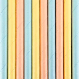 Mix of colours Summer Time Paper Straws available at A Little Confetti